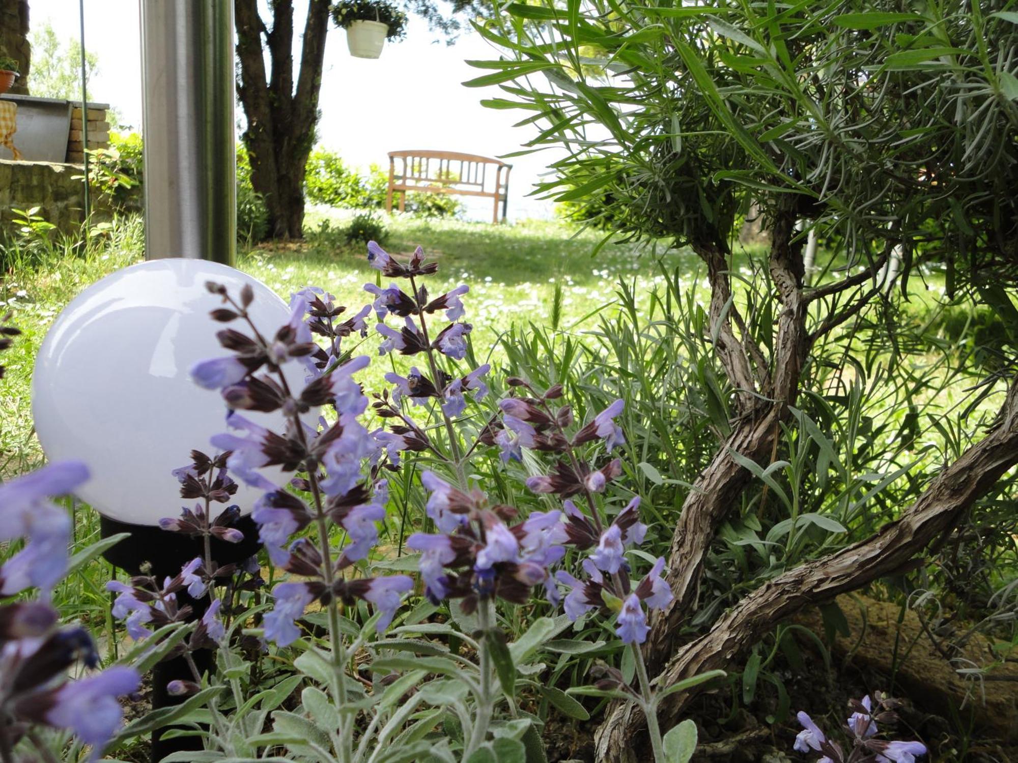 Apartments Ritosa Izola Extérieur photo
